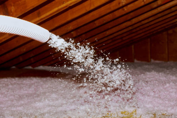 Best Insulation Installation Services in , AL
